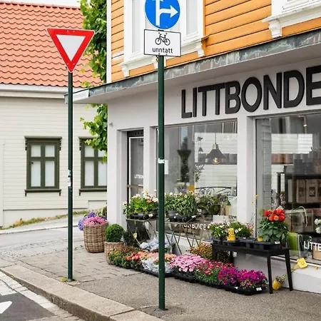 Apartament Nordic